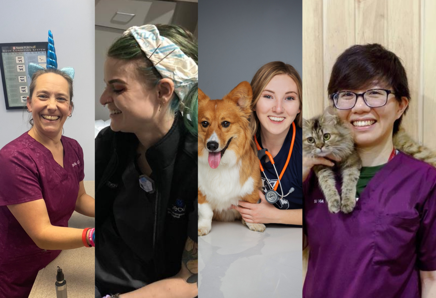 Photos of the 2024 AAHA Veterinary Technician of the Year honorees.