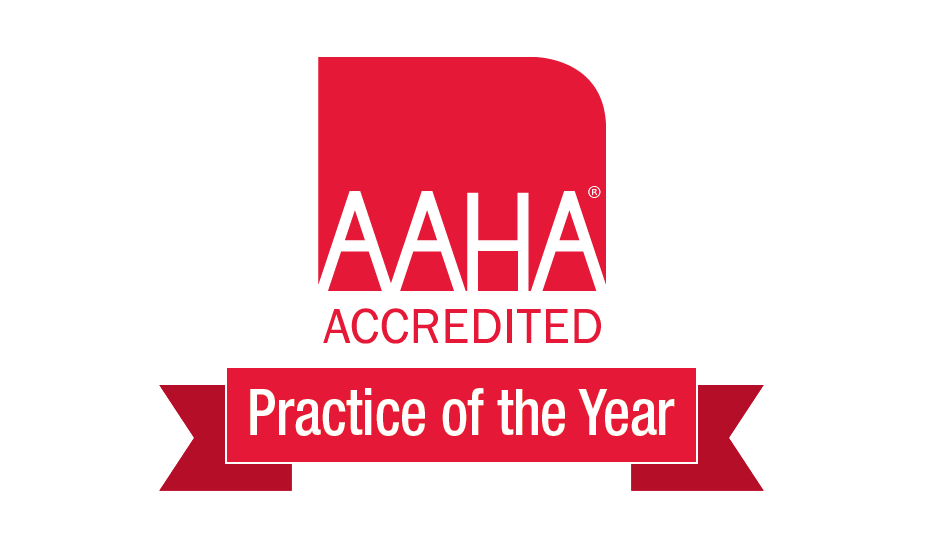AAHA Accredited PRactice of the Year badge